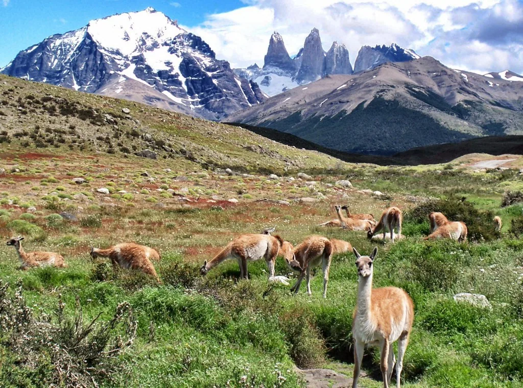 Torres del Paine, Chile