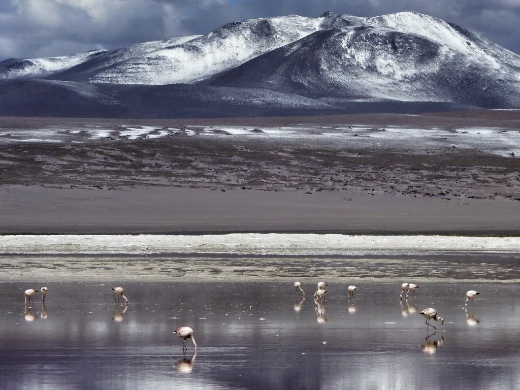 San Pedro de Atacama, Chile