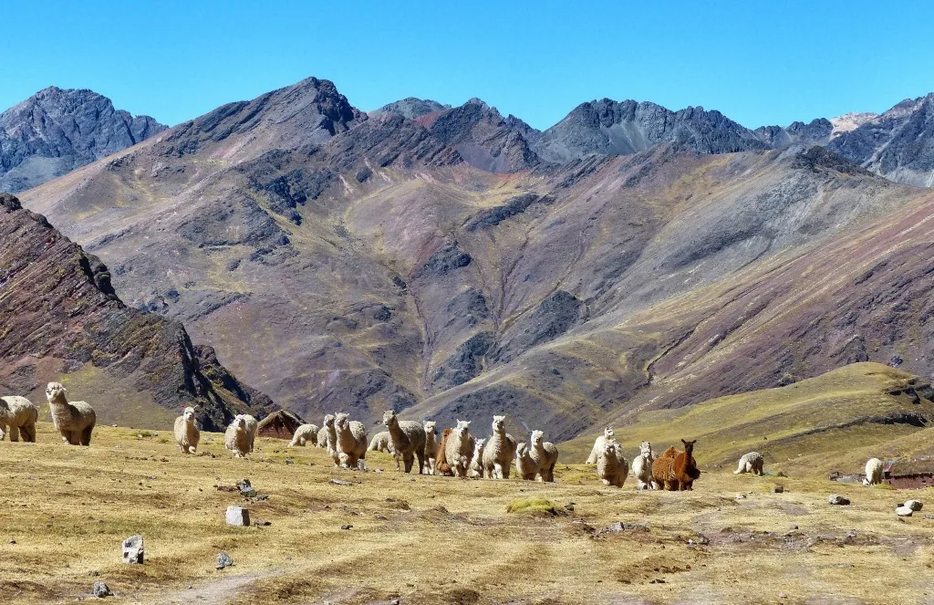 Cusco, Peru