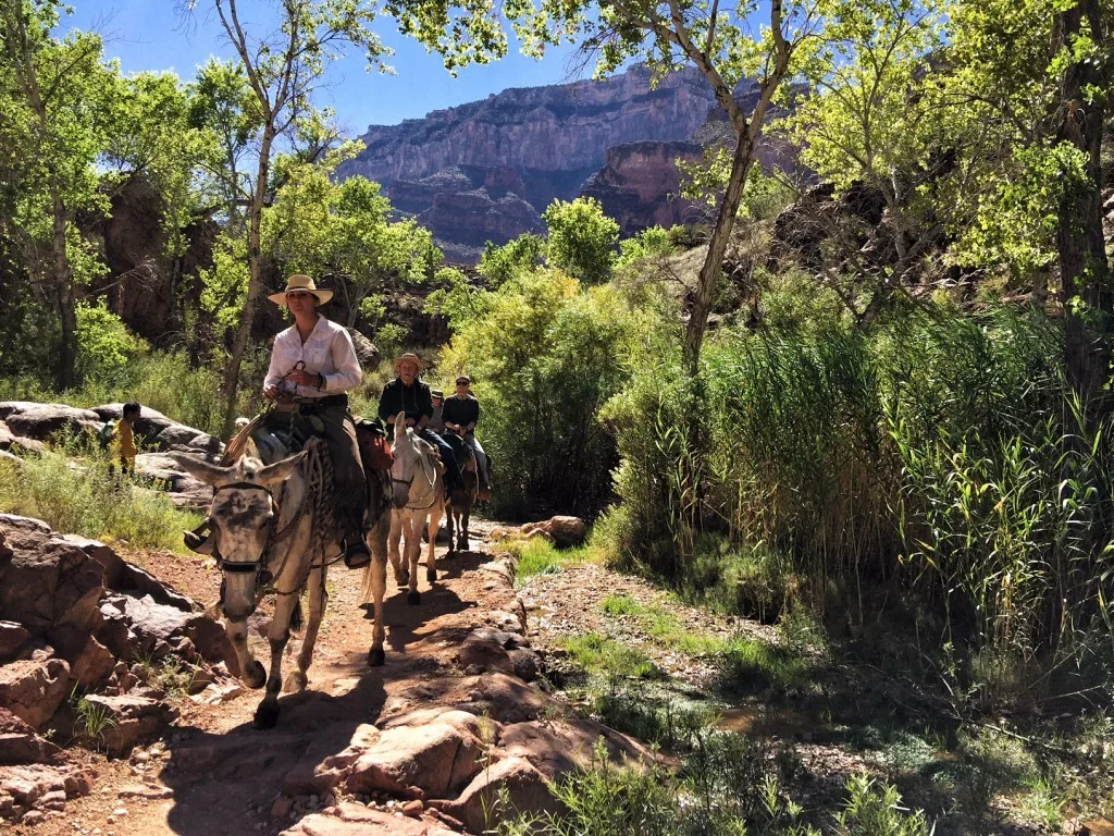Phantom Ranch, Grand Canyon