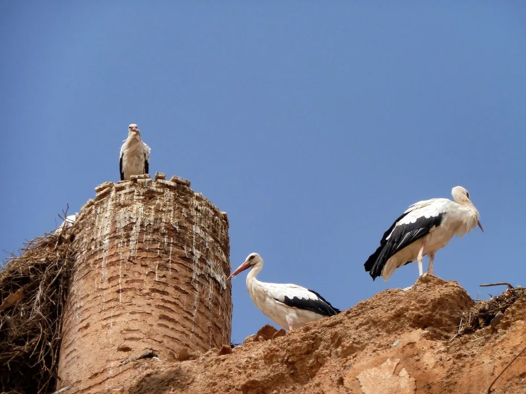 Marrakesch, Marokko