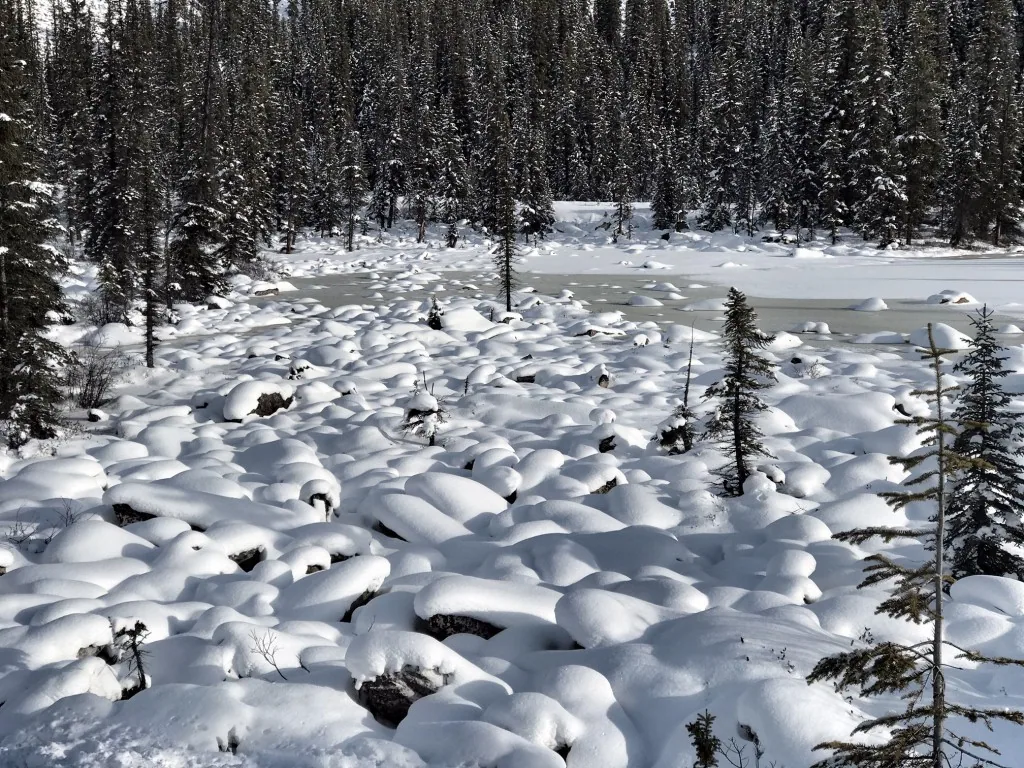 Icefields Parkway im Winter