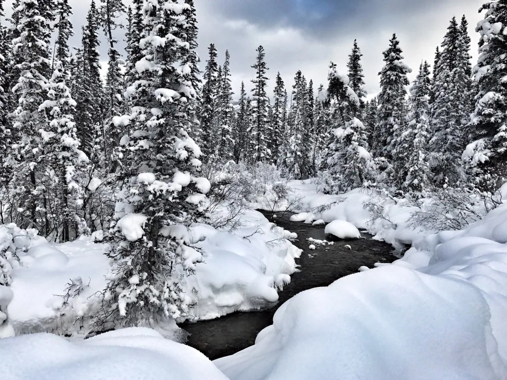 Lake Louise im Winter