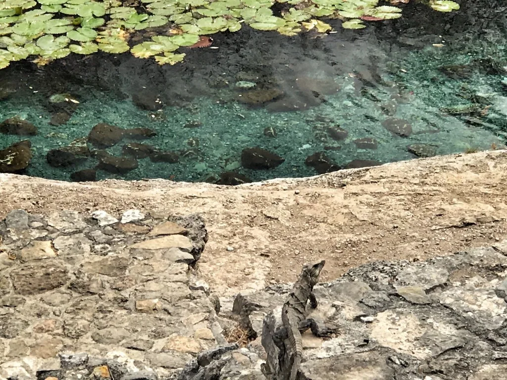 Maison Azul, Merida