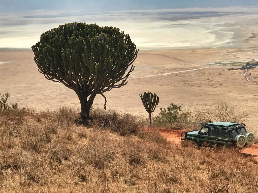 Serengeti, Tanzania