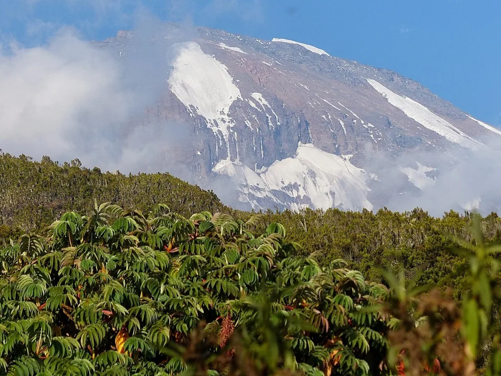 Besteigung des Kilimandscharo, Machame Route Teil 1
