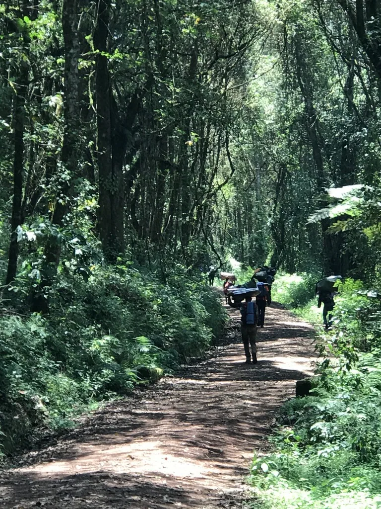 Besteigung des Kilimandscharo, Machame Route Teil 1