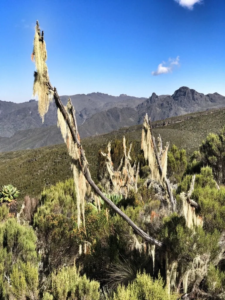 Besteigung des Kilimandscharo, Machame Route Teil 1