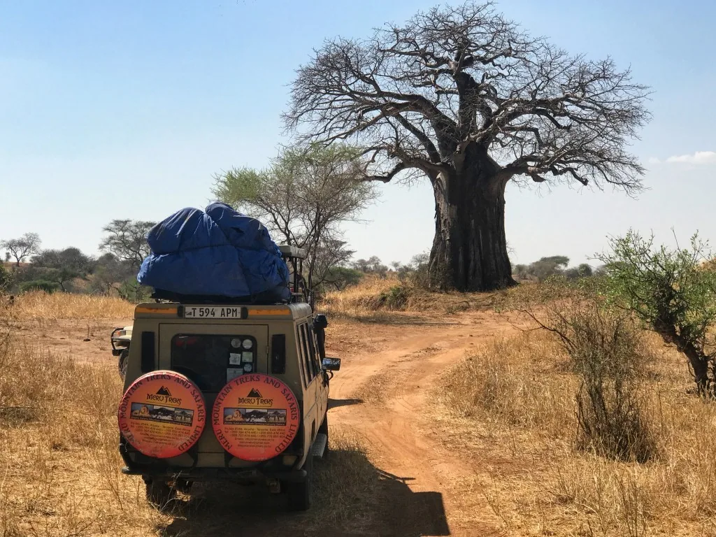 Serengeti, Tanzania