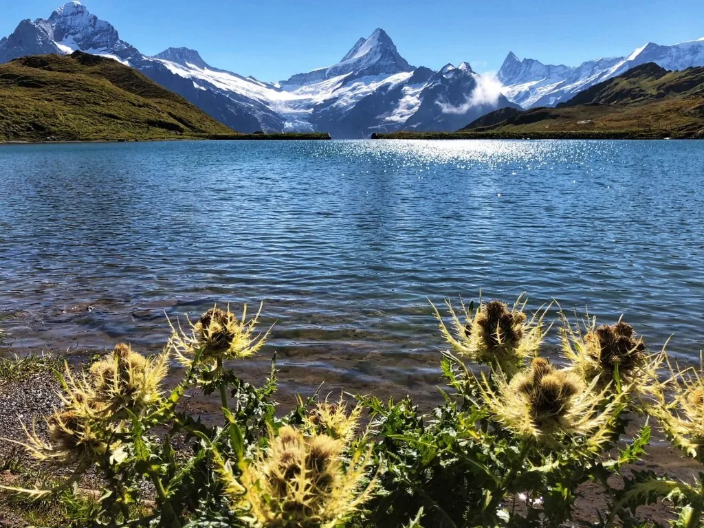 Grindelwald, Switzerland