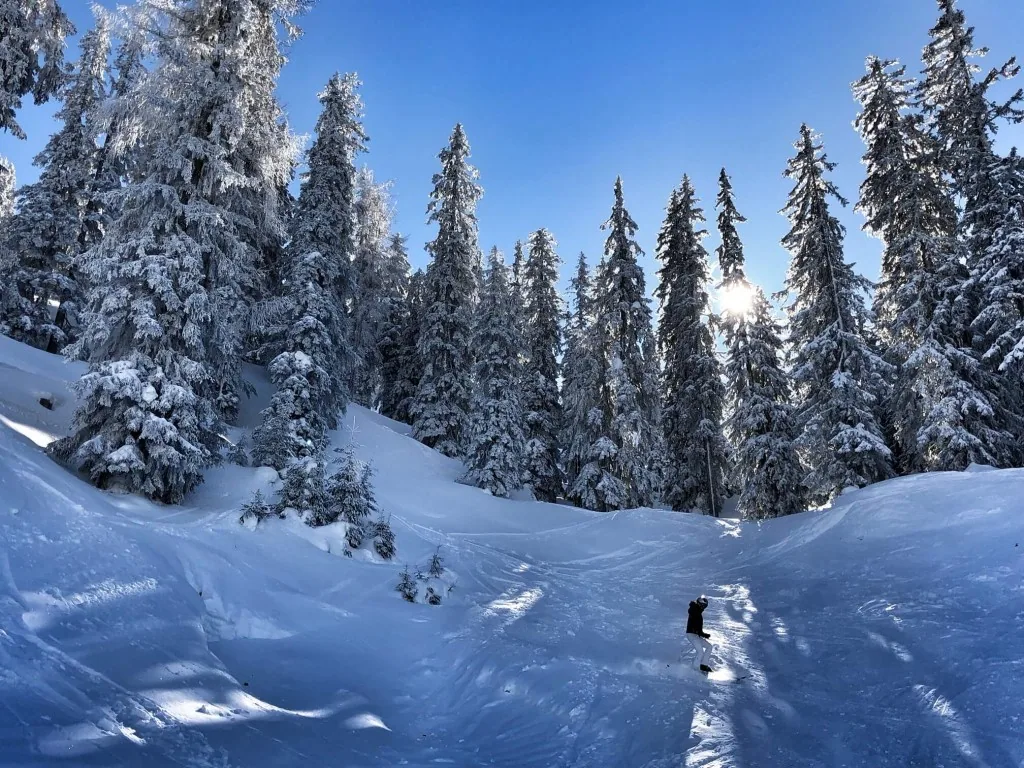 Das Edelweiss, Salzburg Mountain Resort