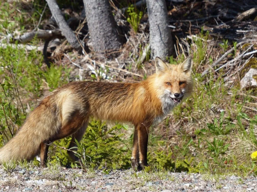 Cape Breton Island, Nova Scotia
