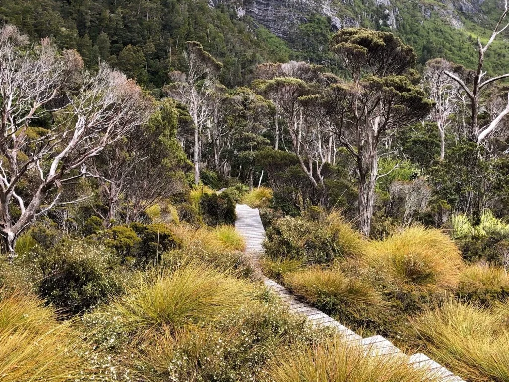 Höhepunkte Tasmaniens