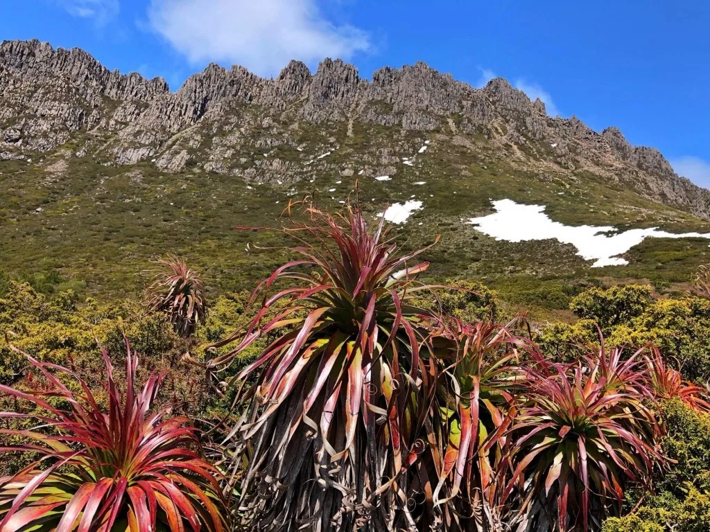 Höhepunkte Tasmaniens
