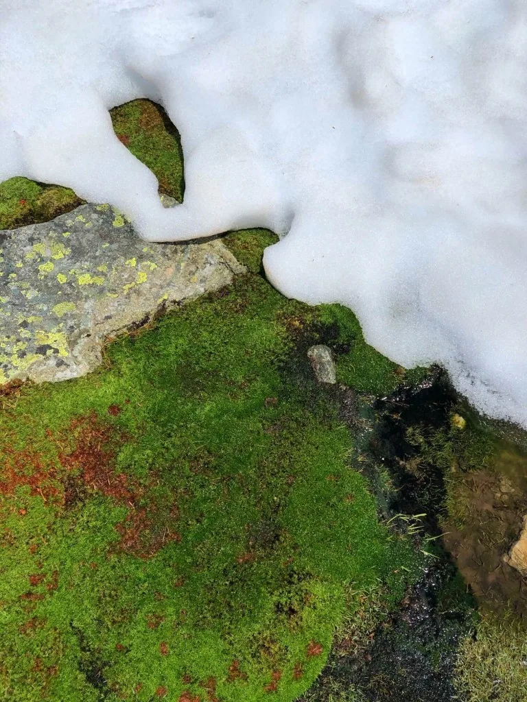 Höhepunkte Tasmaniens
