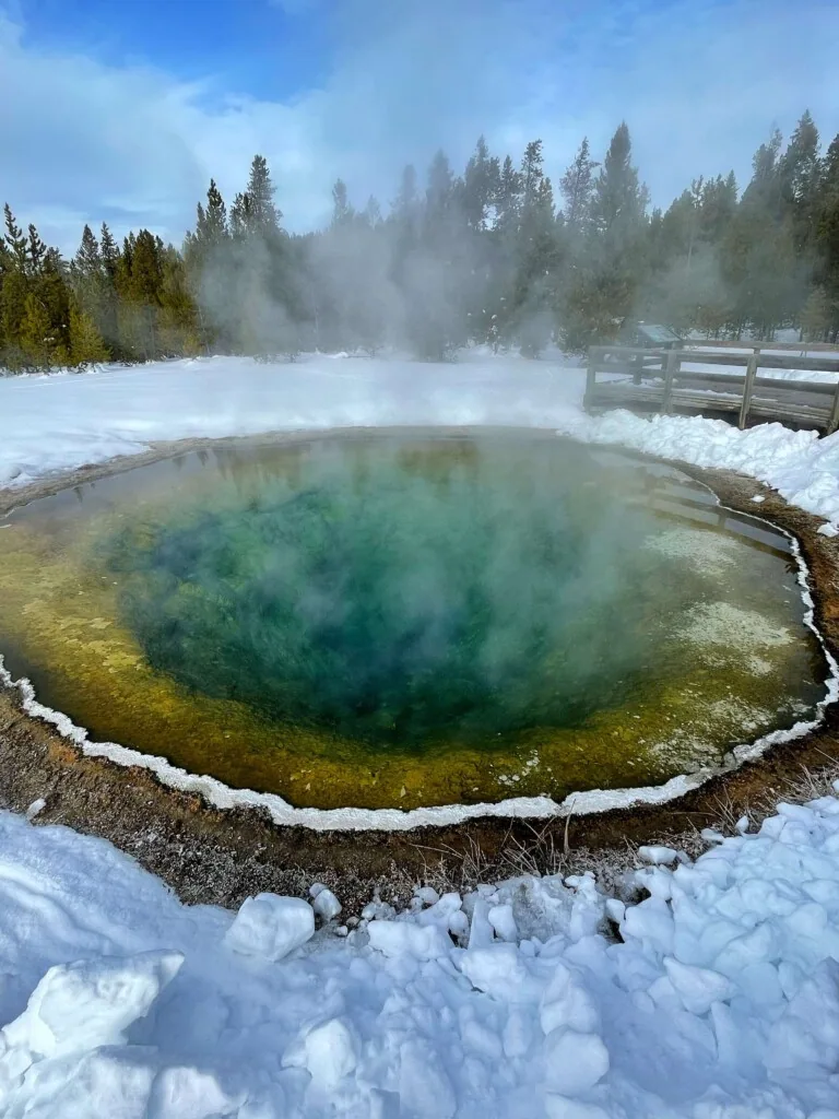 Yellowstone in Winter