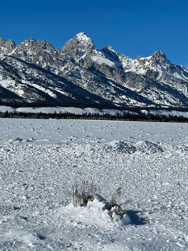 Yellowstone in Winter