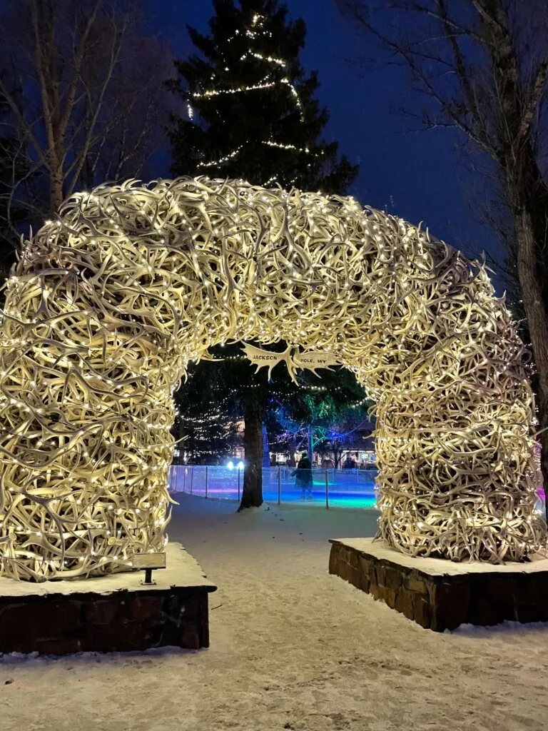 Yellowstone in Winter