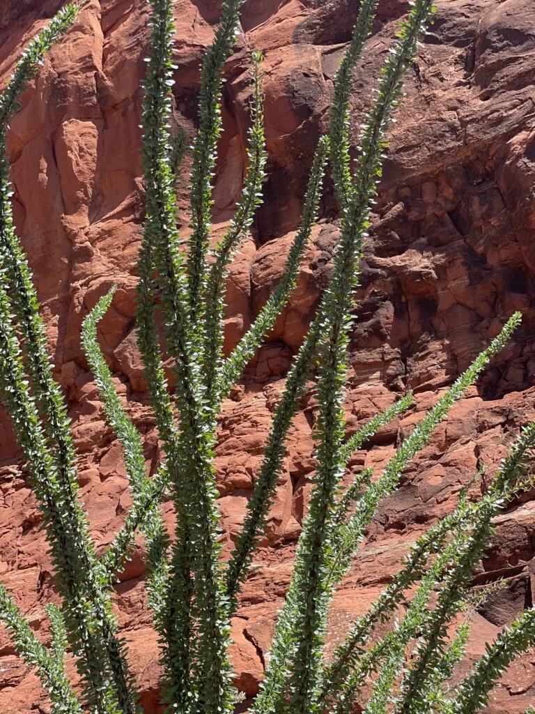 Sedona, Arizona