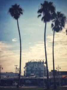 Venice Beach, Los Angeles