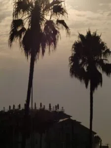 Venice Beach, Los Angeles