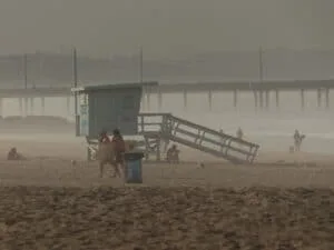 Venice Beach, Los Angeles