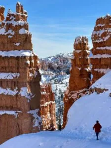 Bungalows at Zion