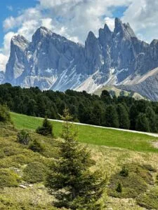 Gourmethotel Ansitz Steinbock, Südtirol