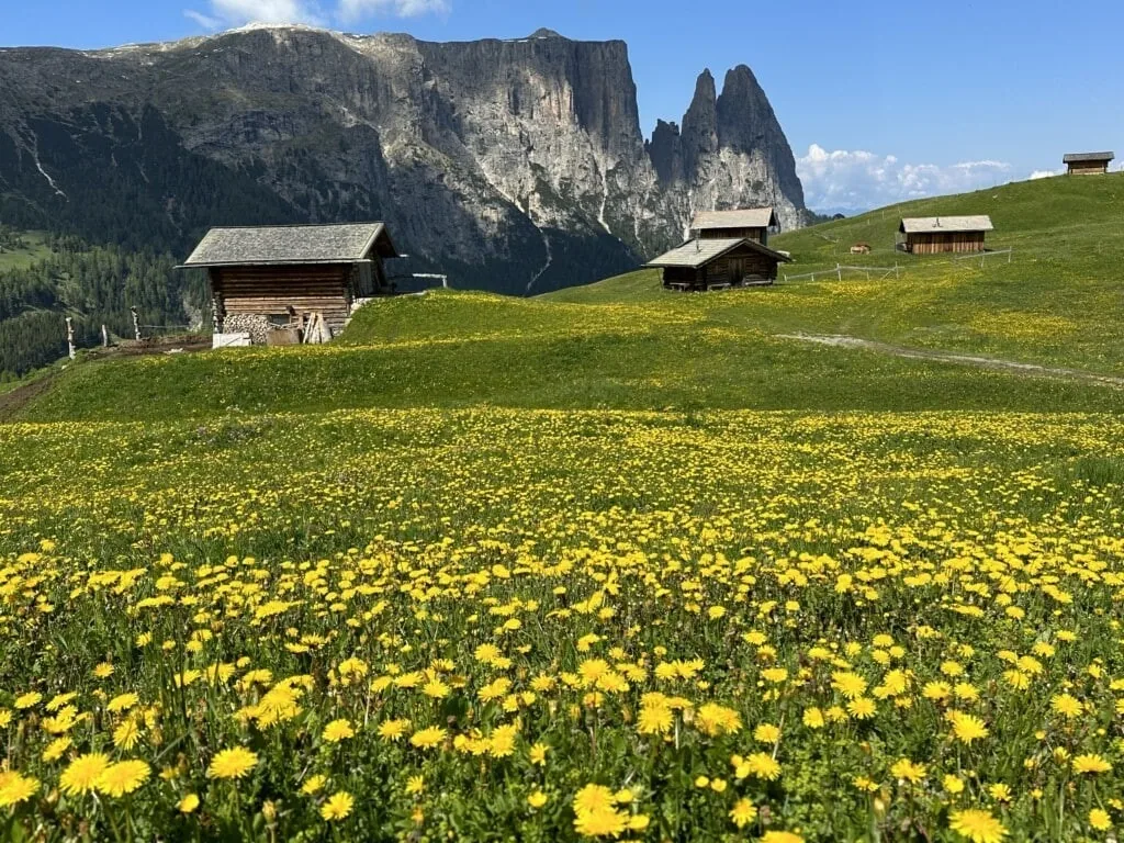 Gourmethotel Ansitz Steinbock, Südtirol
