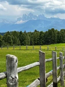 Gourmethotel Ansitz Steinbock, Südtirol