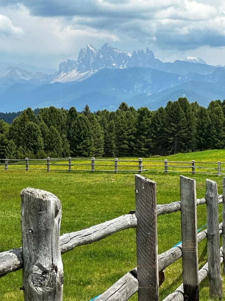 Gourmethotel Ansitz Steinbock, Südtirol