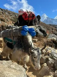 Everest Base Camp Trekking