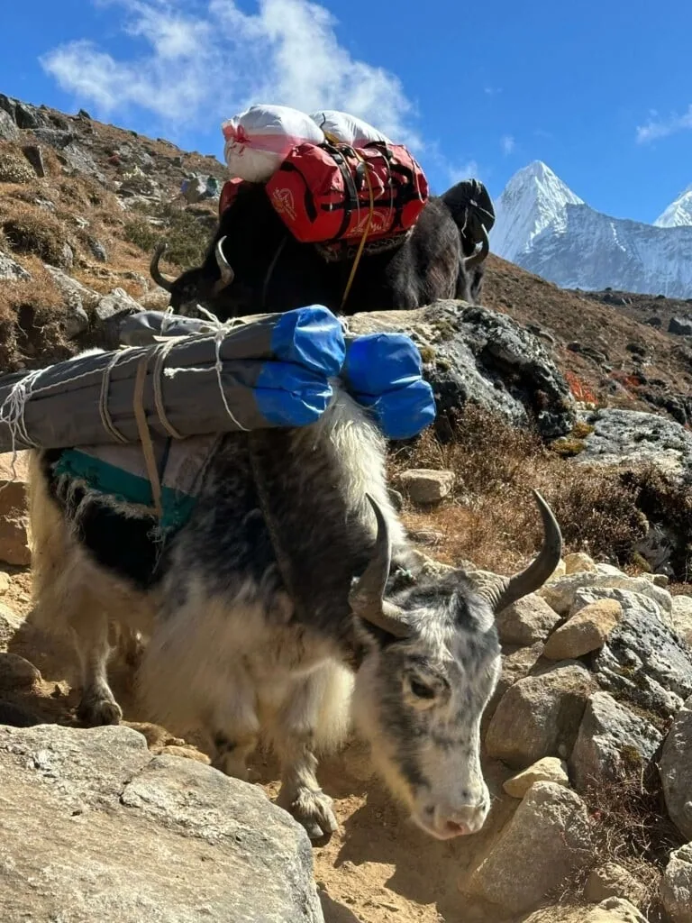 Everest Base Camp Trekking