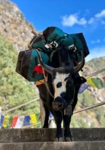 Everest Base Camp Trekking