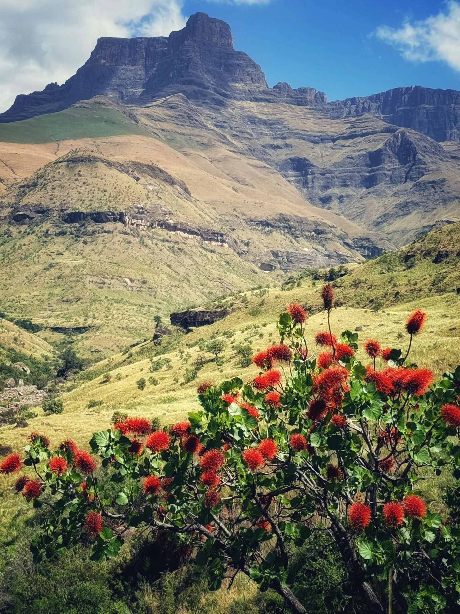 Three Tree Hill Lodge, Südafrika