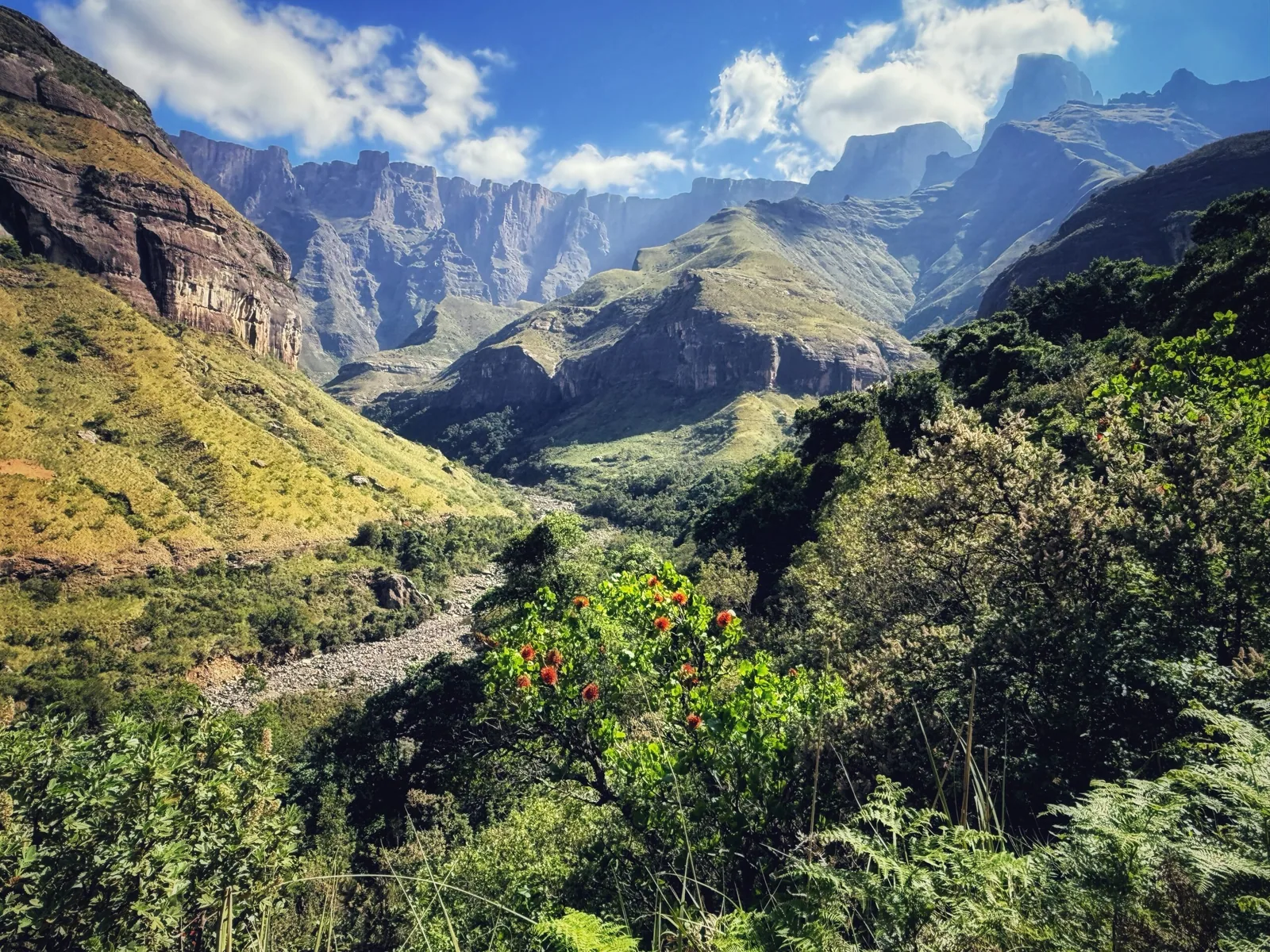 Three Tree Hill Lodge, Südafrika