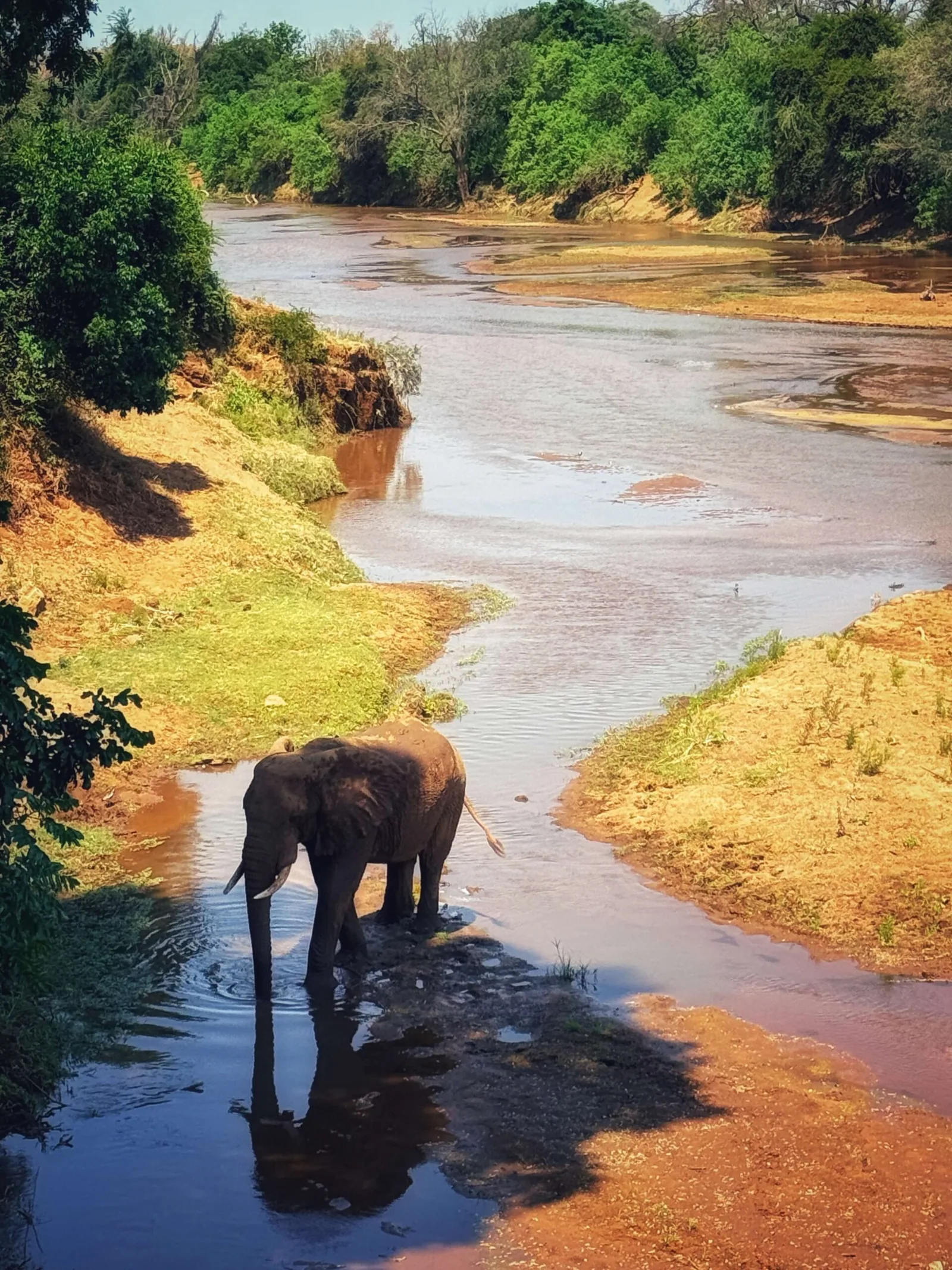 Pafuri Camp, South Africa