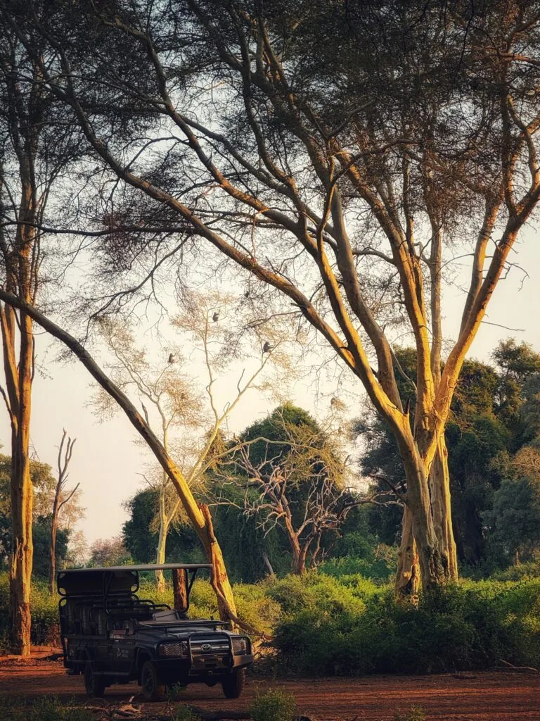 Pafuri Camp, Südafrika