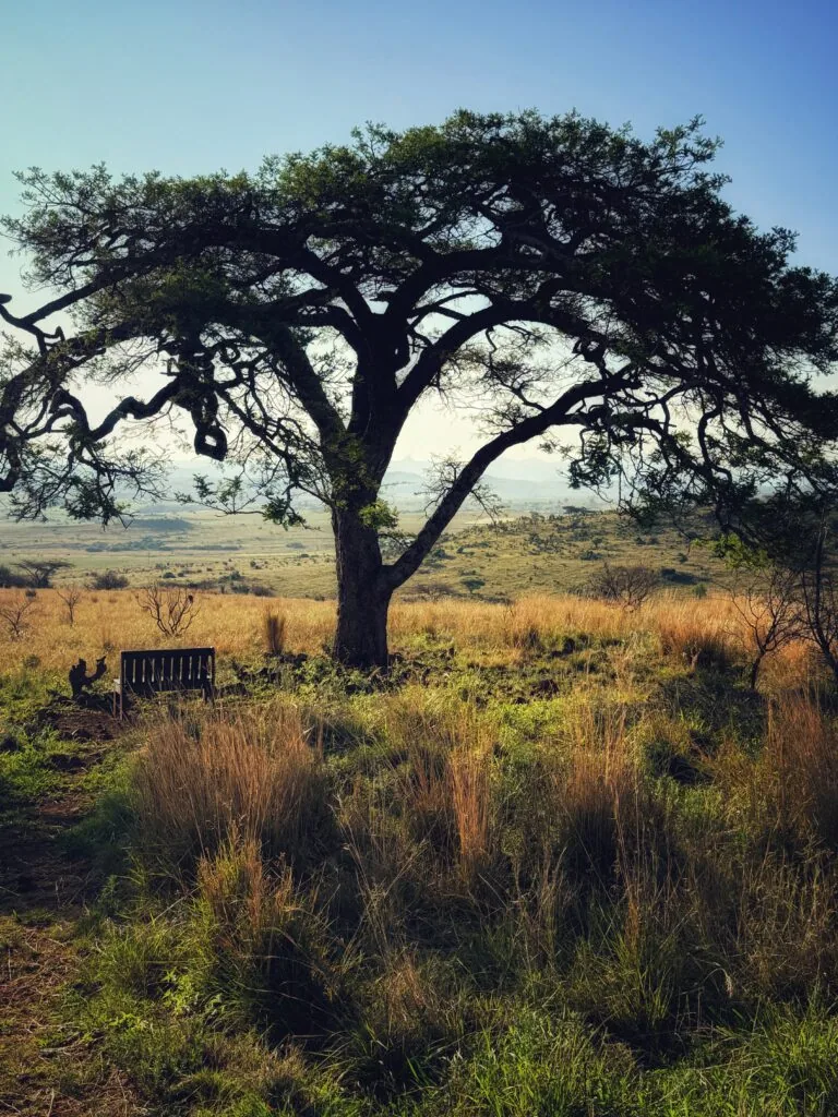 Three Tree Hill Lodge, Südafrika