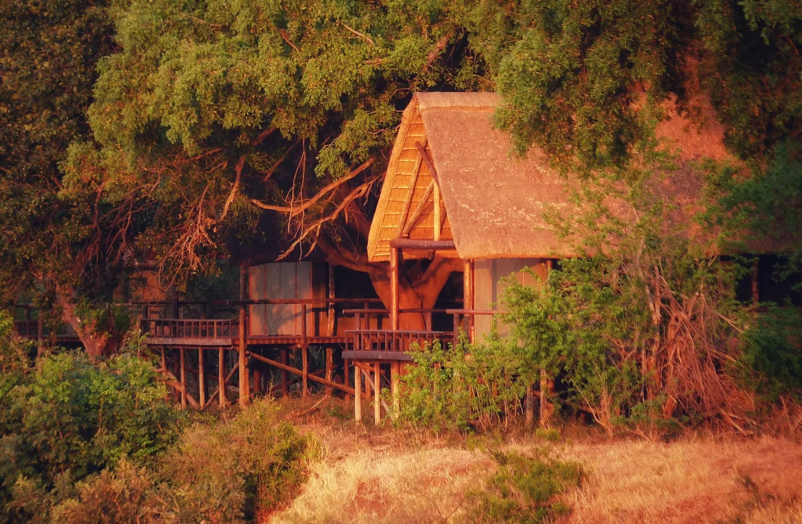 Pafuri Camp, South Africa
