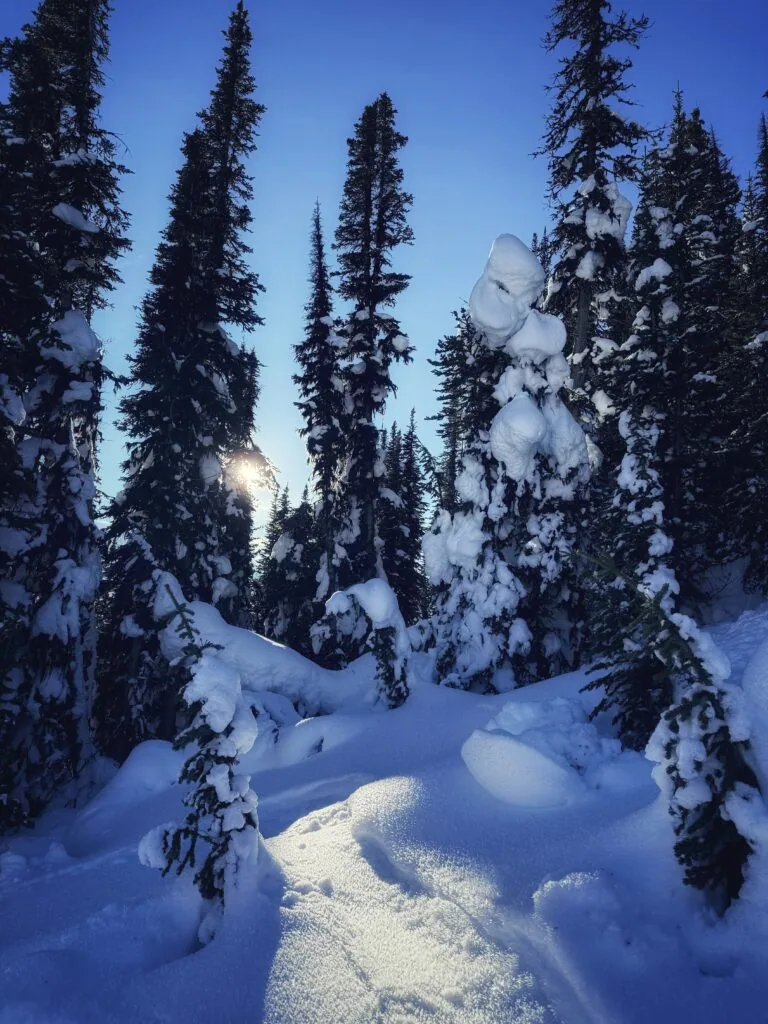Peaks Hotel & Suites, Banff