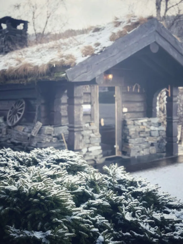 Elva Hotel, Voss