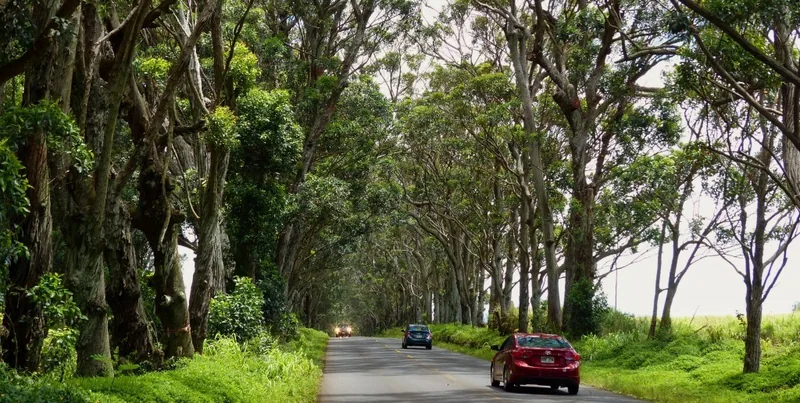 Kauai, Hawaii