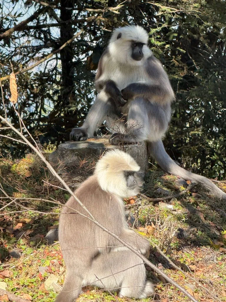 Höhepunkte Bhutans